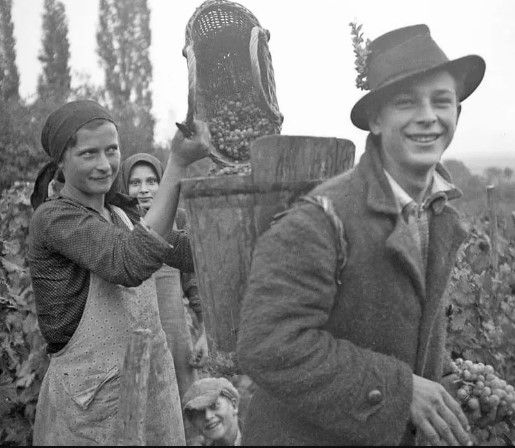 Kárpátalja anno: régi idők szüretei