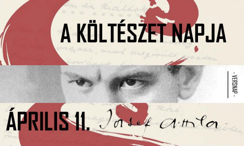 Költészetről az ungvári egyetemen