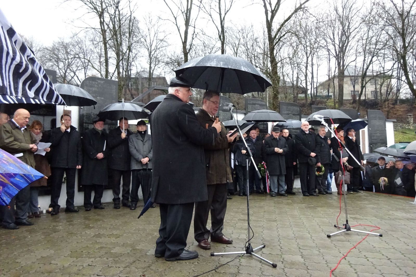 A kárpátaljai magyar férfiak 73 évvel ezelőtti elhurcolására emlékeztek Szolyván
