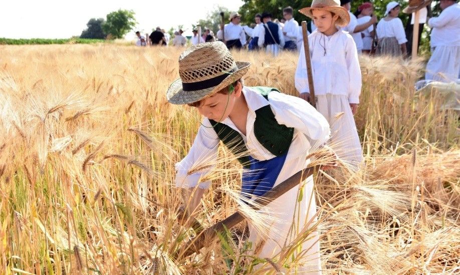 Kárpáti Magyar Krónika – XXX. (XXVIII.) évfolyam, 10. (432.) szám. 2026. június 1.